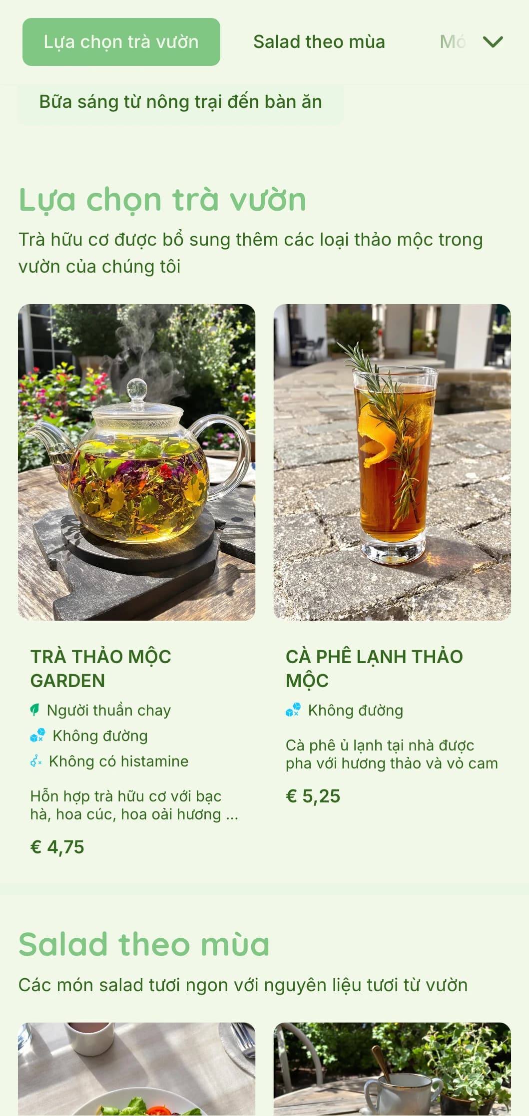 Thiết kế xanh sống động với các yếu tố thực vật dành cho quán cà phê sân vườn và nhà hàng hữu cơ.