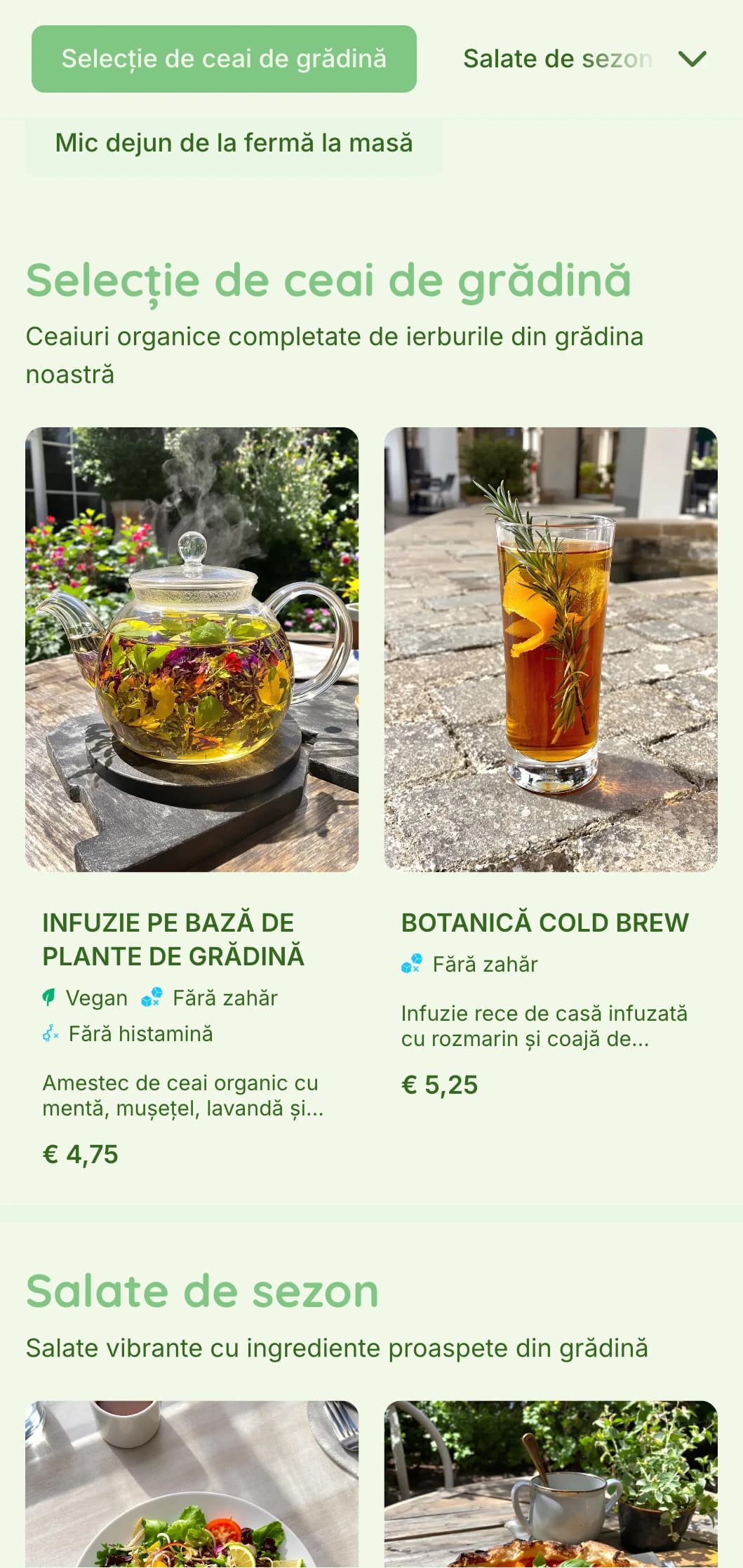 Design verde vibrant cu elemente botanice pentru cafenele de grădină și restaurante organice.